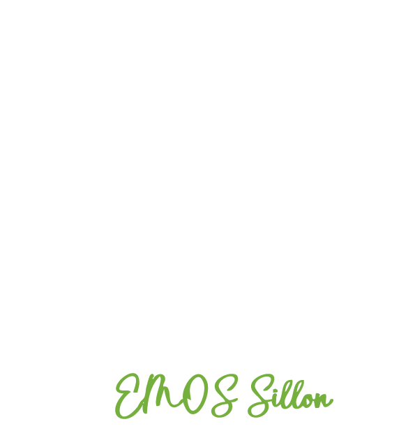EMOS Sillon
