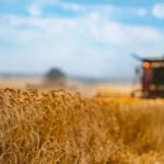 Santé mentale des agriculteurs du Grand Est — un cri d’alarme